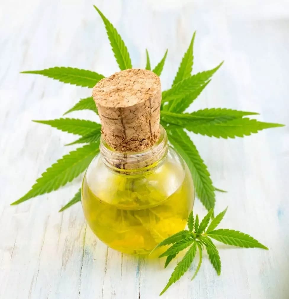 CBD Tincture with Hemp Leaves